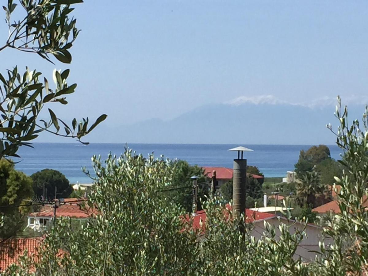 Sea View Villa In Olive Garden Nea Kallikrateia Exterior foto